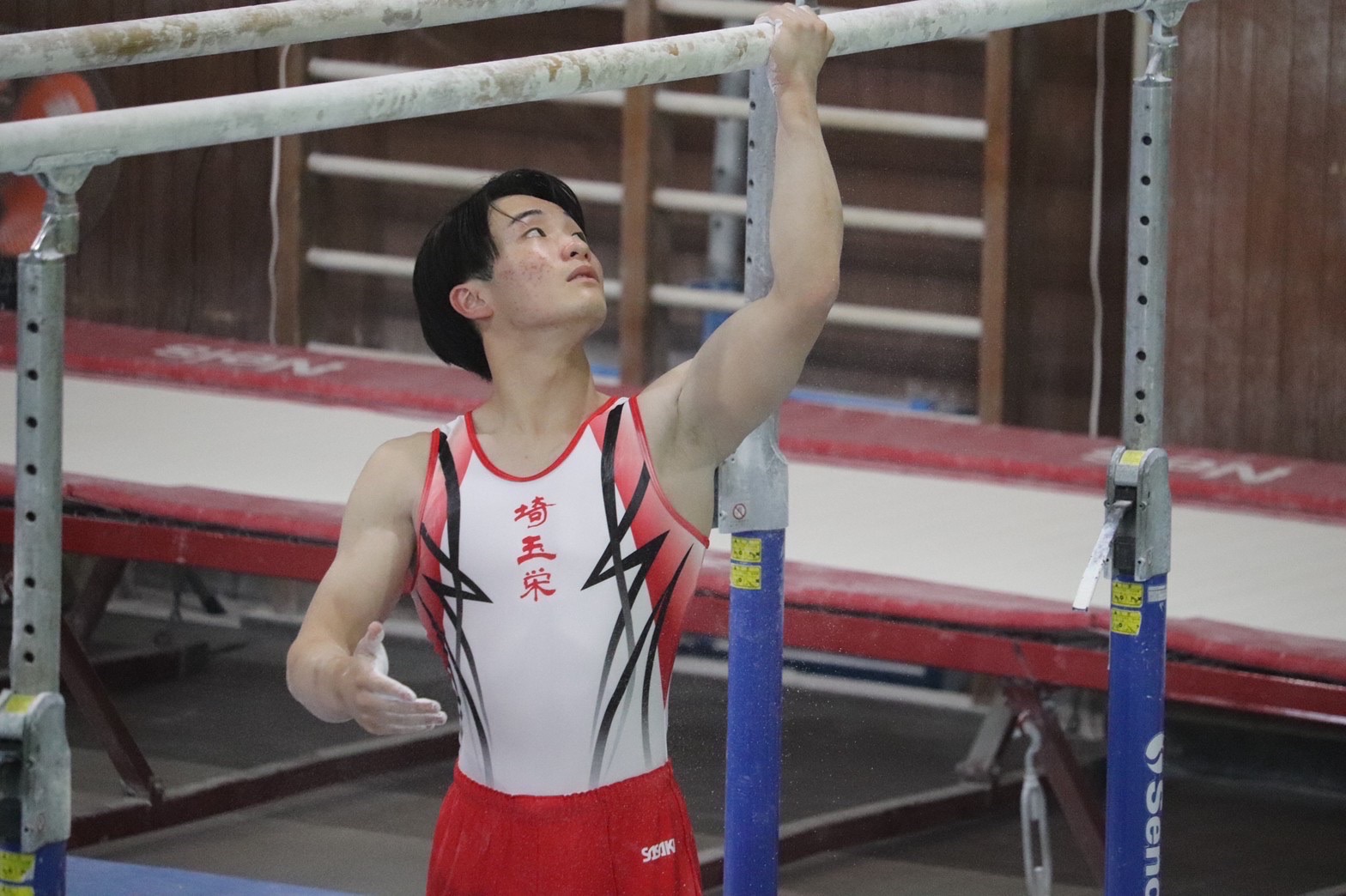 Competitive Gymnast — Daito Iwasaki